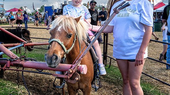 2025 Jefferson County Rodeo